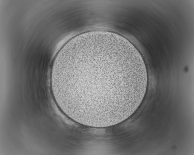 X0000115001006200912071135