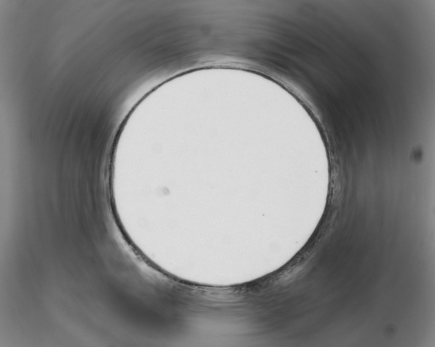 X0000115001007200912071135