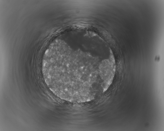 X0000115001009200912071134