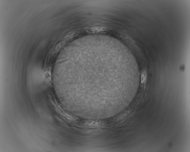 X0000115001011200912071134