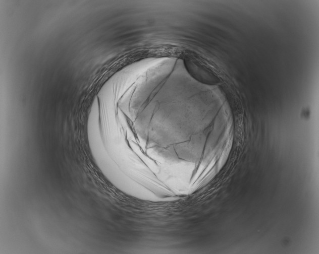 X0000115001013200912071134