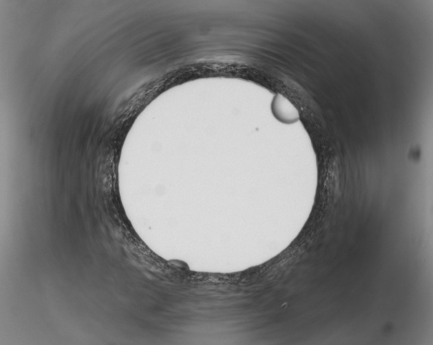 X0000115001014200912071134