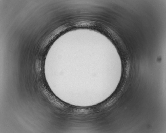 X0000115001017200912071135