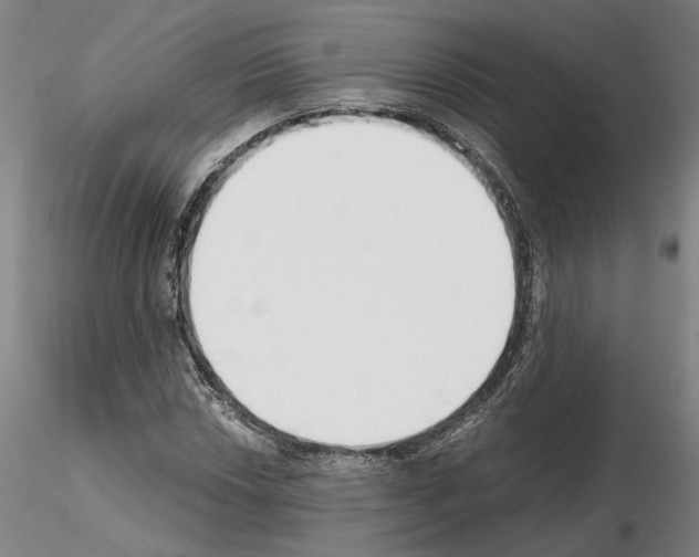 X0000115001018200912071135