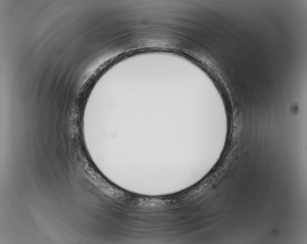 X0000115001019200912071135