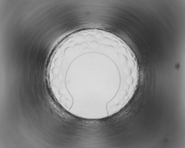 X0000115001020200912071135