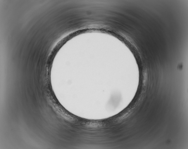 X0000115001021200912071135