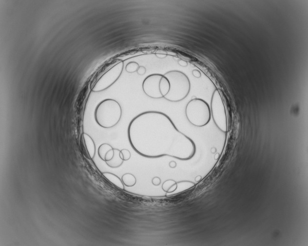 X0000115001022200912071135