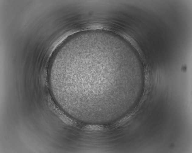 X0000115001023200912071135