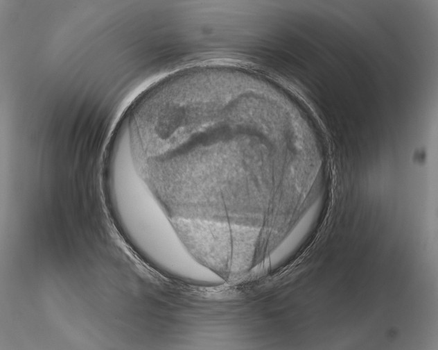 X0000115001024200912071135