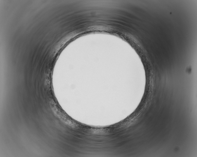 X0000115001025200912071135