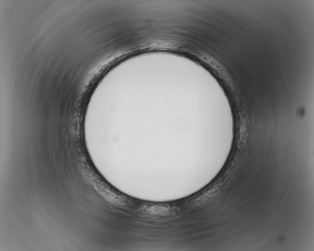 X0000115001027200912071135