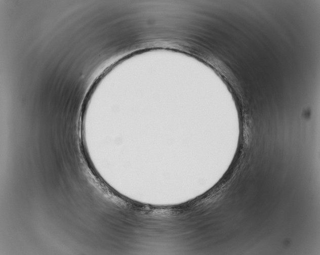 X0000115001028200912071135