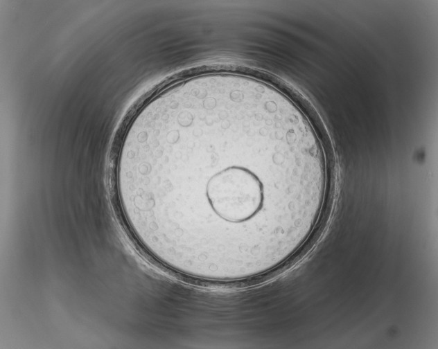 X0000115001029200912071135