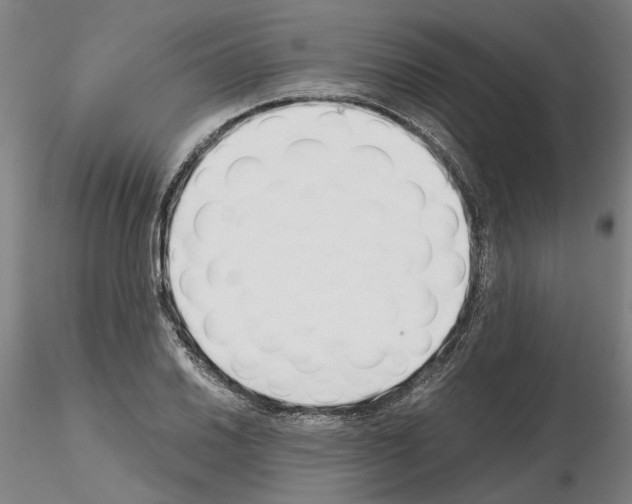 X0000115001030200912071135