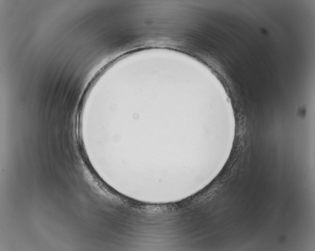 X0000115001032200912071135