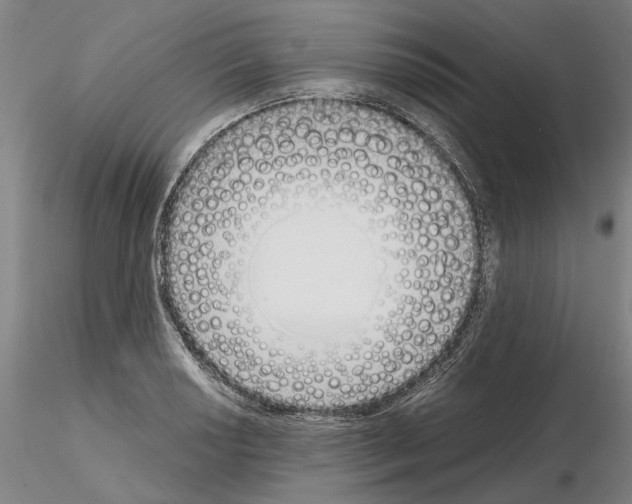 X0000115001034200912071135