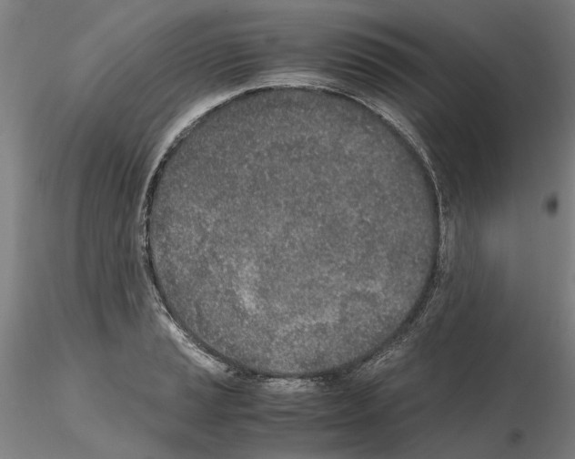 X0000115001037200912071135