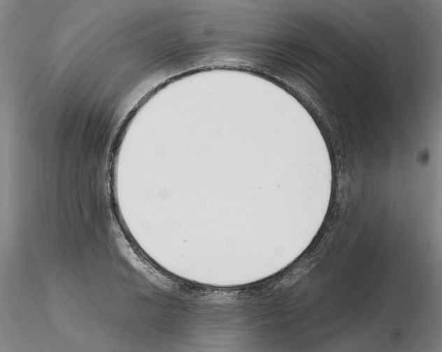 X0000115001038200912071135