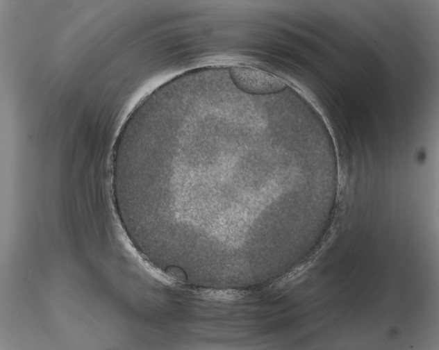 X0000115001045200912071135