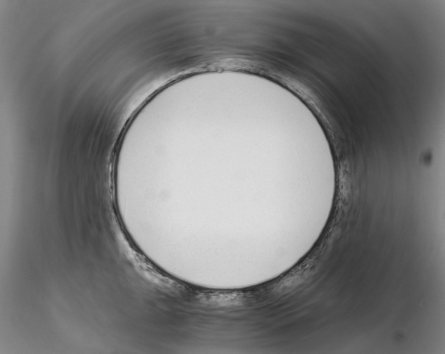 X0000115001047200912071135