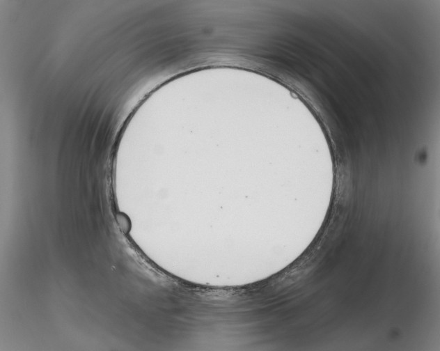 X0000115001048200912071135