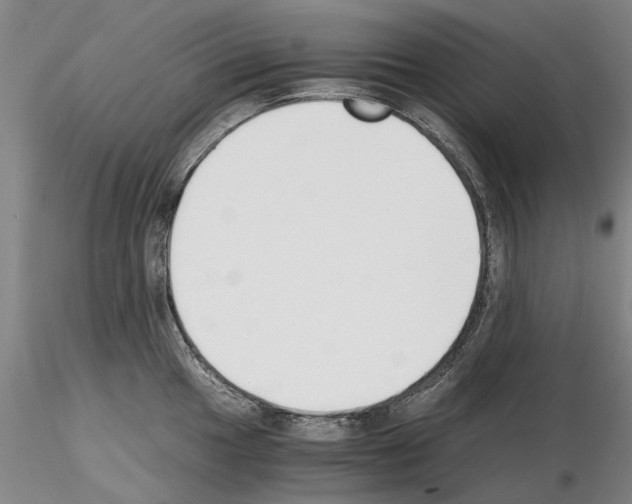 X0000115001049200912071135