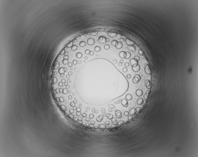 X0000115001050200912071135