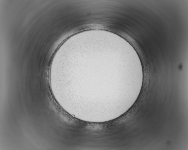 X0000115001051200912071135