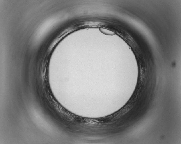 X0000115001052200912071135