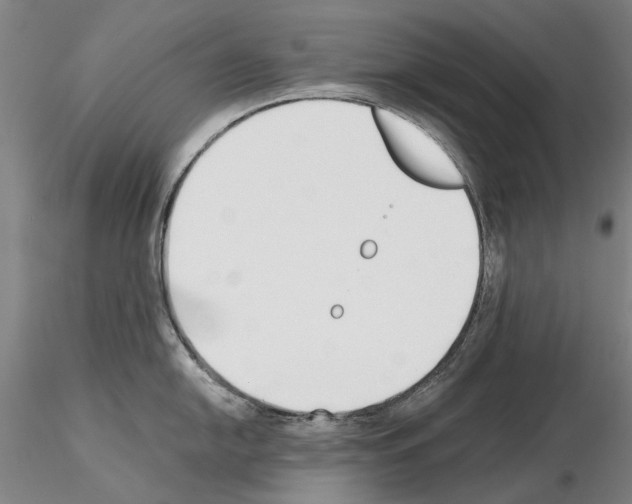 X0000115001054200912071135