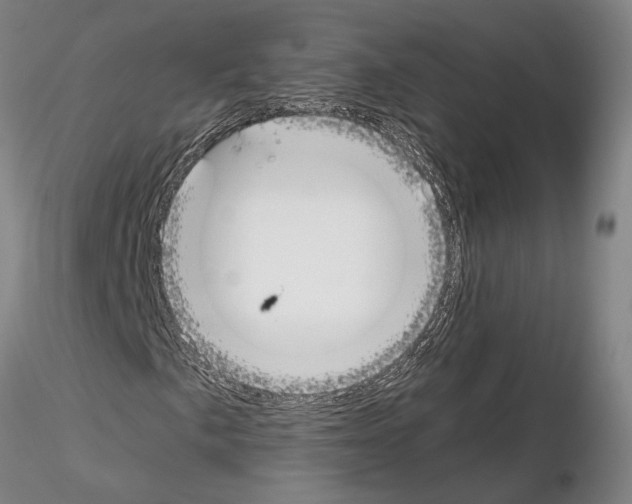 X0000115001057200912071134