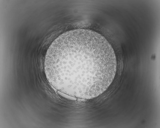 X0000115001058200912071134