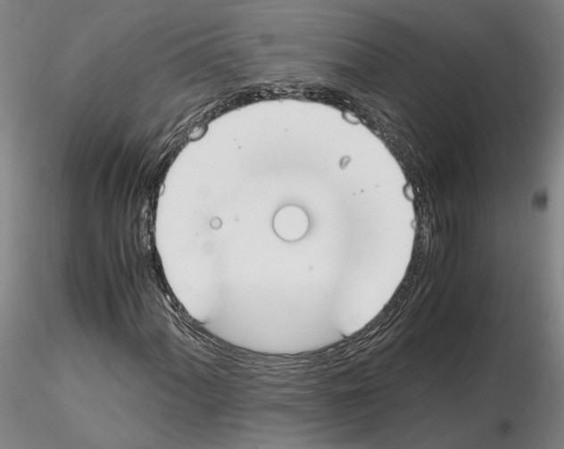 X0000115001060200912071134