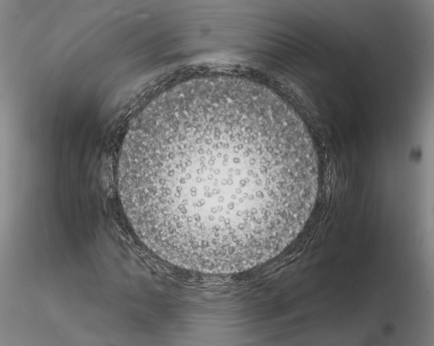 X0000115001062200912071134