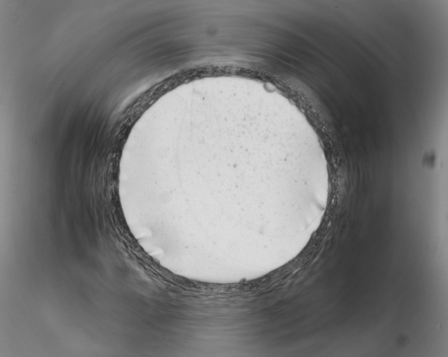 X0000115001064200912071134