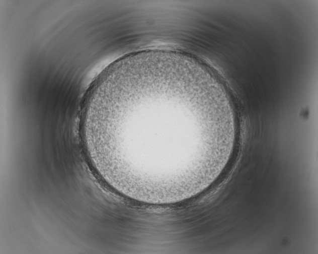 X0000115001066200912071134