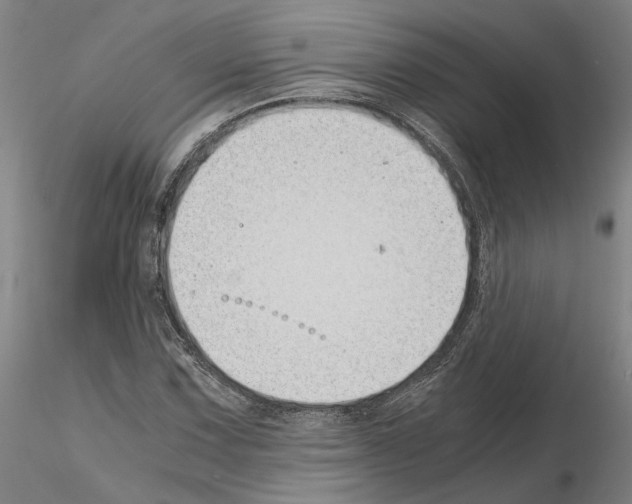 X0000115001067200912071134