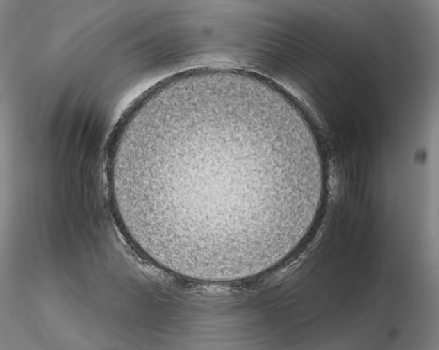 X0000115001070200912071134