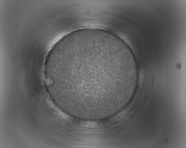 X0000115001071200912071134