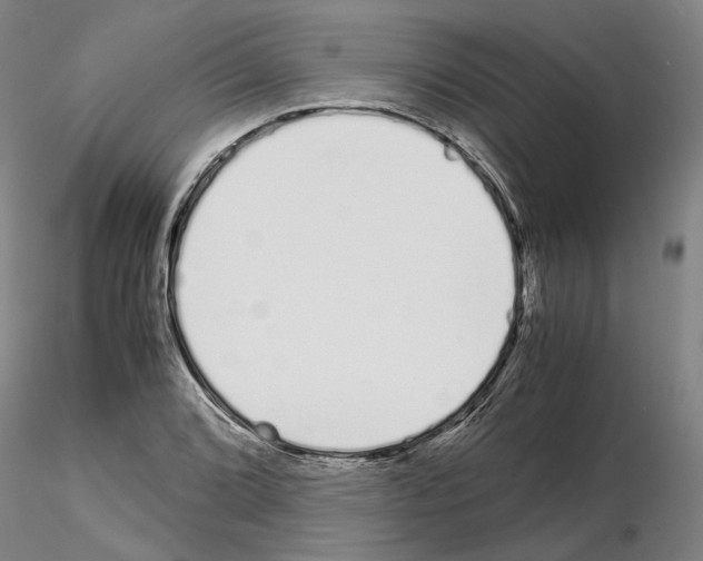 X0000115001072200912071134