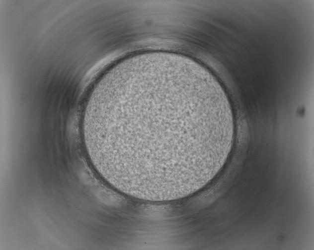 X0000115001074200912071134