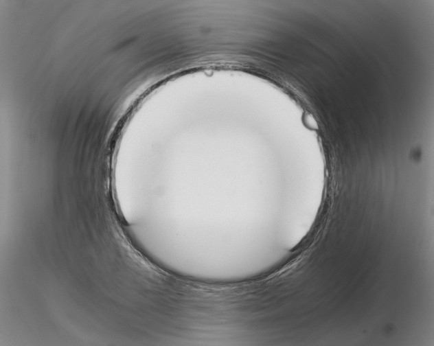 X0000115001075200912071134