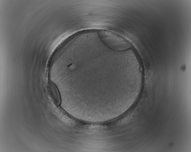 X0000115001077200912071134