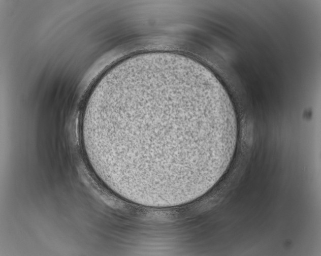 X0000115001078200912071134