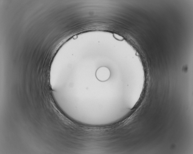 X0000115001081200912071134