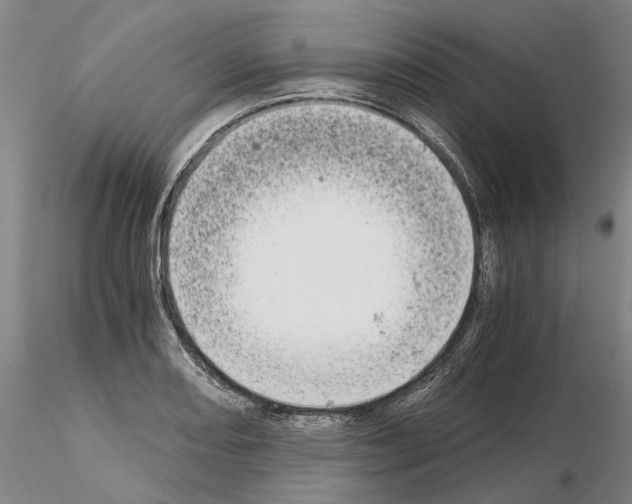 X0000115001082200912071134