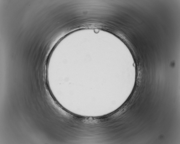 X0000115001083200912071134