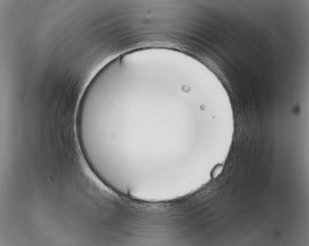 X0000115001084200912071134