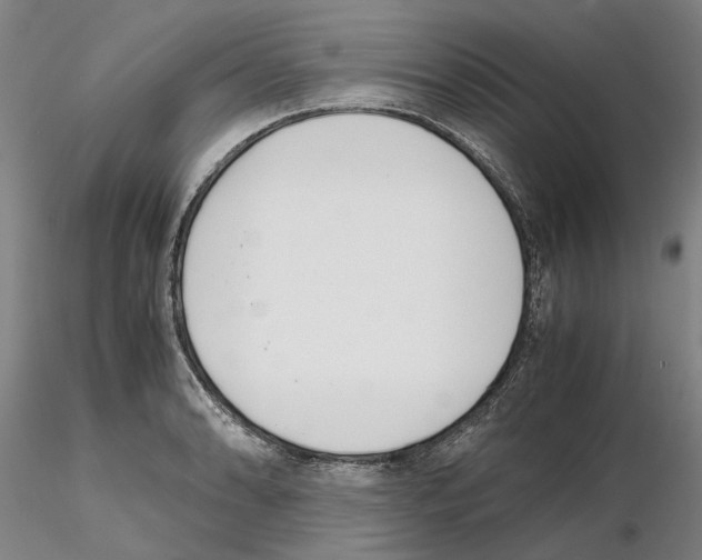 X0000115001086200912071134